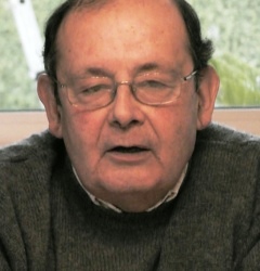 Vidal Peña