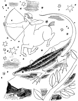 Dibujo de Lorenzo Goñi